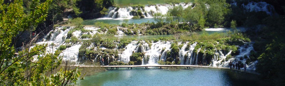 Bora Tours - grupni izleti